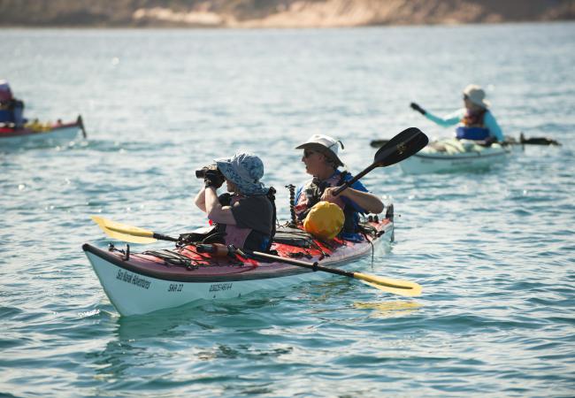 Sea Kayaking La Paz